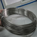 Hot sale Nitinol Wires