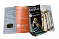 Brochures Tri-fold Leaflets Flyers Envelopes Mailer bags 3