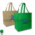 NON WOVEN  BAGS 1