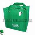 NON WOVEN SHOPPING BAG 1