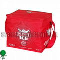 NON WOVEN COOLER BAG 2