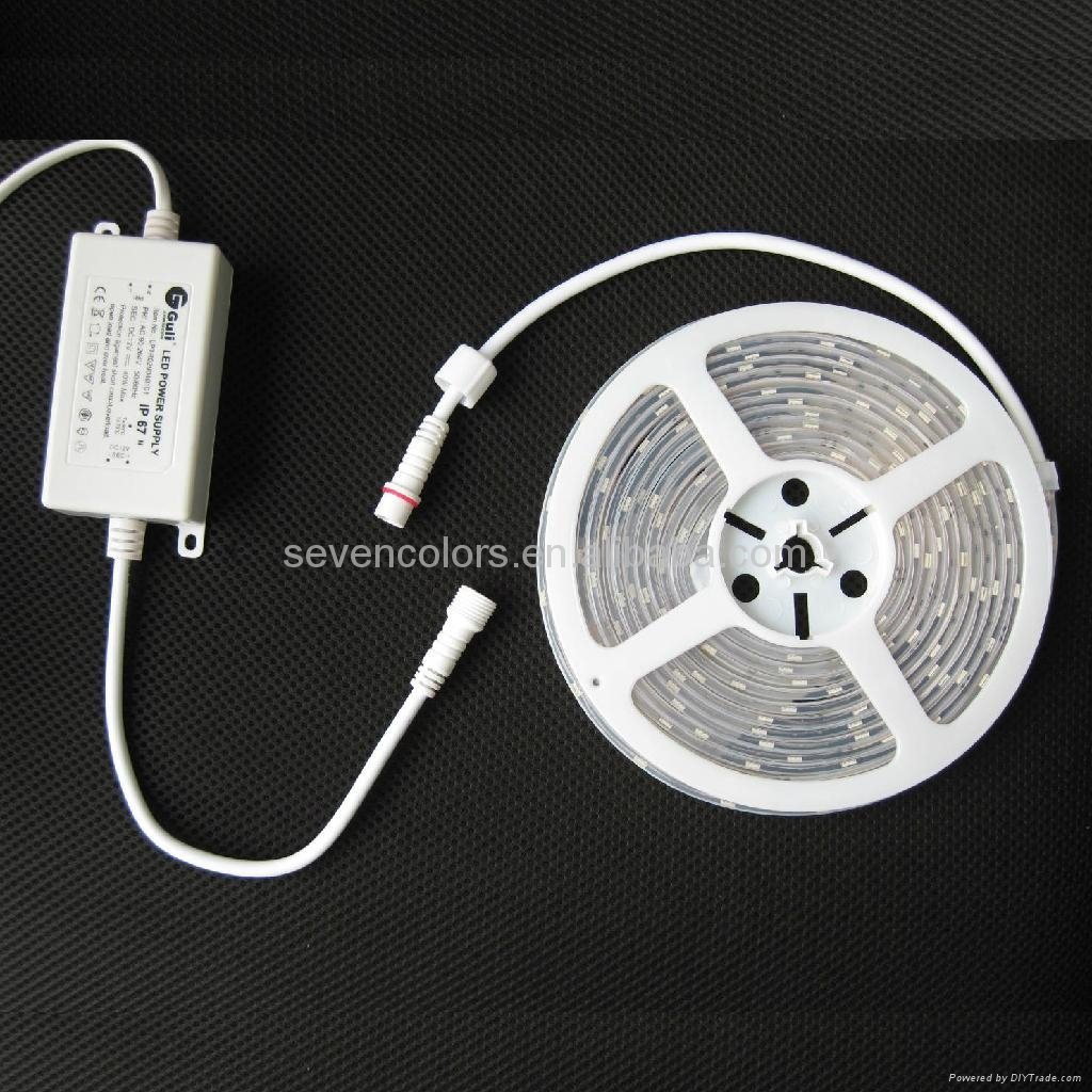 Colorful SMD IP67 Outdoor LED Flexible Strip Light With Silicon Tube