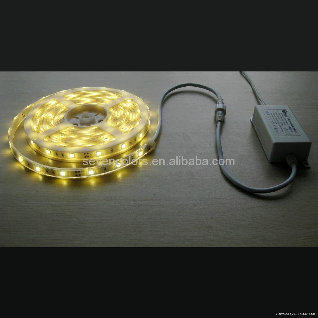 Colorful SMD IP67 Outdoor LED Flexible Strip Light With Silicon Tube 3