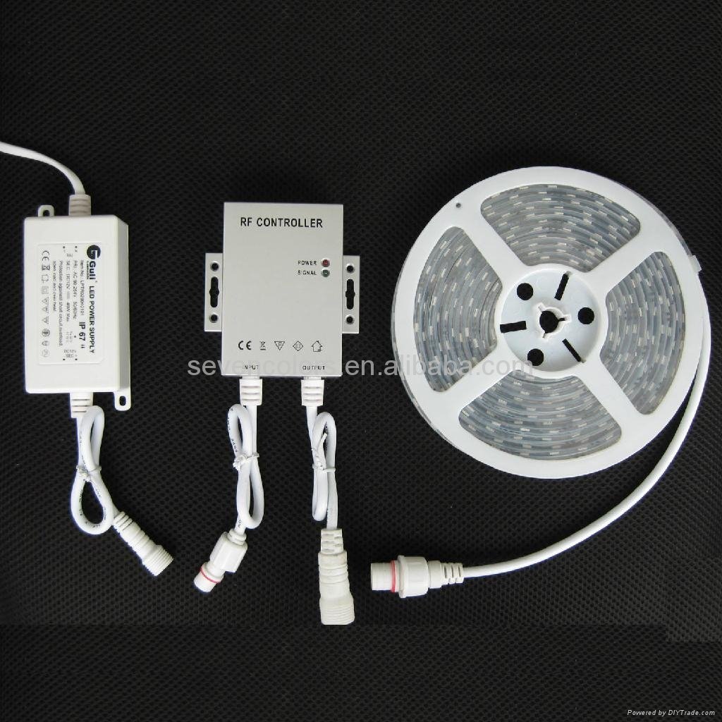 Colorful SMD IP67 Outdoor LED Flexible Strip Light With Silicon Tube 5