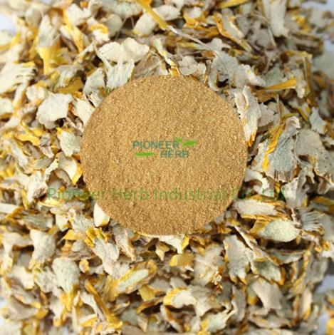 Dendrobium extract,Dendrobium nobile extract powder