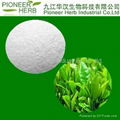 EGCG green tea extract