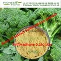 Sulforaphane 0.1% Dietary product sulforaphane powder 2