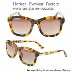 Brand Sunglasses Men AC14