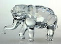 crystal animal model,Crystal model