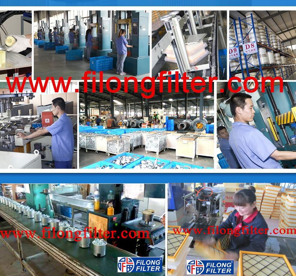 FILONG Manufactory FILONG Automotive Filters FF-1008D,7H0127401D, WK8020,KL229/2，PP985/1，P10758，H327WK，ST6141