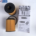 FILONG Manufactory FILONG Oil Filters 73500049 5650342 HU713/1X OX371D E60HD110 CH9713ECO  FILONG FOH-2010 For FIAT