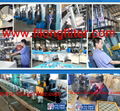 FILONG Filter manufacturer Fuel Filter FFH-70024 ME016862 30862-10050 ME02383  