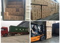 truck filters manufactory in Chinese for VOLVO FUEL WATER SEPARATOR 11110668  ,Oil Filter Manufacturers In China , oil filters manufactory in china,auto filters manufactory in china,automotive filters manufactory in china,China Oil filter supplier,Oil Filter Manufacturers In Chinese ,Car Air Filter Suppliers In China ,Air Filters manufactory in china , automobile filters manufactory in china,China air filter supplier,Cabin Filter Manufacturers in china, cabin filters manufactory in china,China Cabin filter supplier,Fuel Filter Manufacturers , Fuel Filters manufactory in china,China Fuel Filter supplier,China Transmission Filter supplier,Element Fuel Filter Suppliers In China ,China Element Oil Filter supplier,China FILONG Filter supplier,China hydraulic filter supplier,hydraulic filter Manufacturers in China, truck filters manufactory in china , hydraulic filter manufactory in china , truck parts supplier in china, auto parts,
