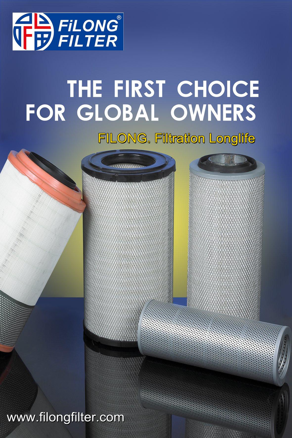 FILONG Manufactory Fuel Filter FF300 8971725490 WK815/80 8971725490 FILONG FILTER (China