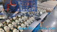 Filter Assembly supplier from FILONG Manufacturer.