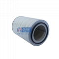 Filong Manufacture AIR FILTER AF25022 4