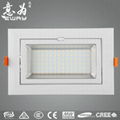 Private Mould 40W led rectangular downlight/Samsung chips plus Tridonic driver 4