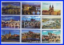 Tin magnet for prague 2