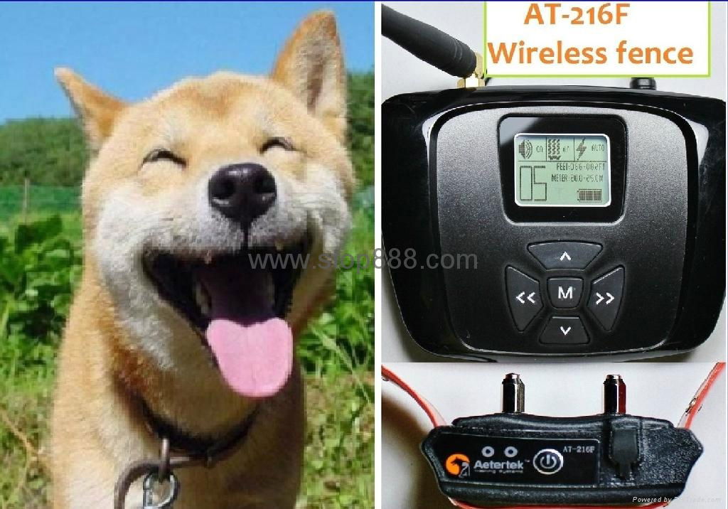 AT-216F Dog/Cat Wireless Fence with LCD display rechargeable and waterproof 2