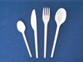 PS cutlery(Whtie)