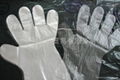 Biodegradable PE gloves 1