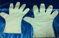 Disposable Copolymer gloves 2