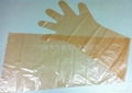 PE LONG SHOULER GLOVES