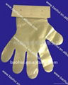 paper card PE gloves food grade 