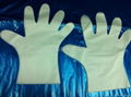 Disposable EVA gloves