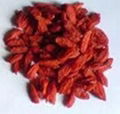 Goji berries