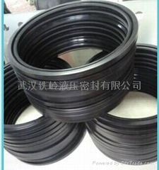 oil seal