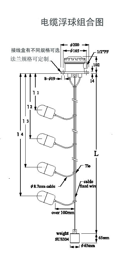 Float Switch 5