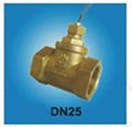 FS-DN25T   FLOW SWITCH