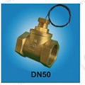 FS-DN25T   FLOW SWITCH