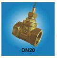 FS-DN25T   FLOW SWITCH