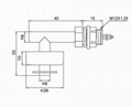 LS-PH2  float sensor 4