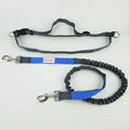  running nylon hands free dog leash  1