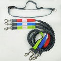  running nylon hands free dog leash  4