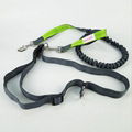  running nylon hands free dog leash  5