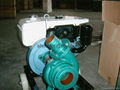 4 inch water pump