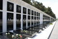 Carved Crystal White marble & Shanxi Black granite 1