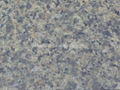 China Green granite