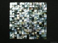 Mesh Blacklip Seashell mother of pearl mosaic tiles (without gap) 1