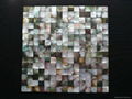 Mesh Blacklip Seashell mother of pearl mosaic tiles (without gap) 2