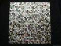 Mesh Blacklip Seashell mother of pearl mosaic tiles (without gap) 5