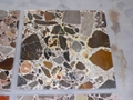 Brown Marble Conglomerate