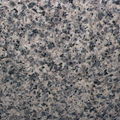 Leopard Skin granite 2