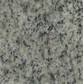 Ginkarl granite 1