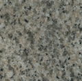 Champagne granite 1