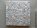 Mesh 20x20mm/300x300mm White MOP Mosaic Tile, Butt-joint gap format 1